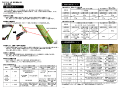 H27 穂肥現地研究会 - JA東びわこオフィシャルホームページ