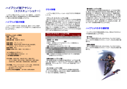 影の勇者クラス ハイブリッド版