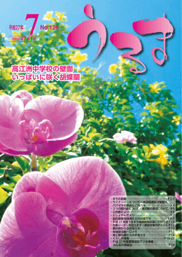 高江洲中学校の壁面 いっぱいに咲く胡蝶蘭 高江洲中学校の壁面