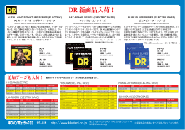 DR 新商品入荷！