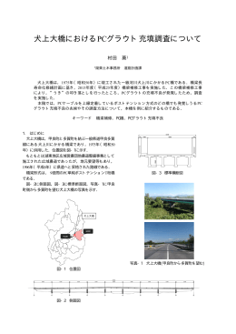 犬上大橋におけるPCグラウト充填調査について（PDF：890KB）
