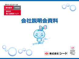 個人投資家向け説明会資料 （5117KB）