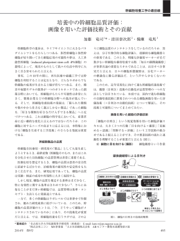 培養中の幹細胞品質評価： 画像を用いた評価技術とその貢献