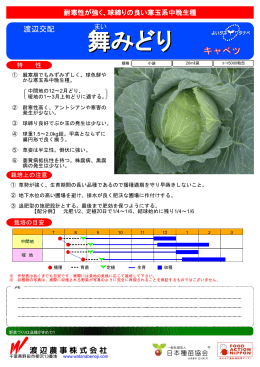 舞みどり