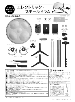 エレクトリック・ スチールドラム