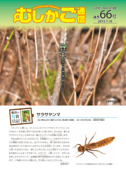 詳しくはこちら（PDF）