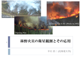 発表資料