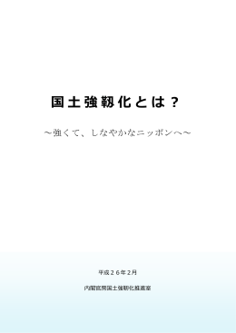 国 強靱化とは？