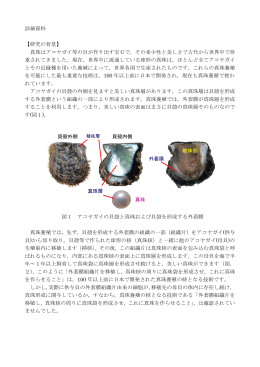 詳細資料 【研究の背景】 真珠はアコヤガイ等の貝が作り出す宝石で