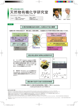 天然物有機化学研究室 農薬化学