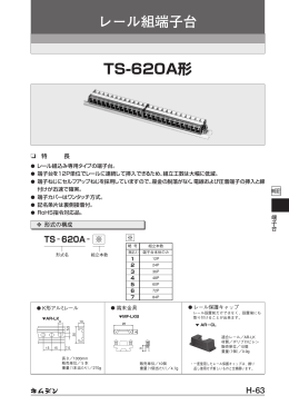 TS-620A形 レール組端子台