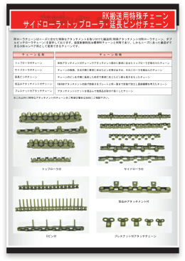 RK搬送用特殊チェーン サイドローラ・トップローラ・延長ピン付チェーン