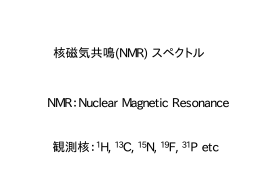6～8日目：核磁気共鳴スペクトル(NMR)