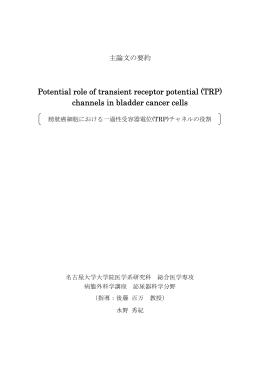 3．乙7088 水野 秀紀 主論文の要約