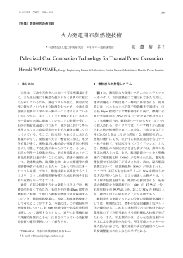 火力発電用石炭燃焼技術