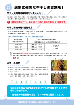 2015年6月 稲作情報 適期に確実な中干しの実施を！