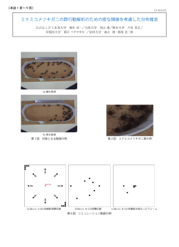 ミナミコメツキガニの群行動解析のための密な隣接を考慮した分布推定