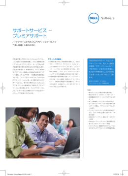 サポートサービス &minus; プレミアサポート