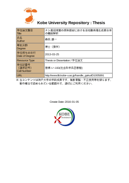 Kobe University Repository : Thesis