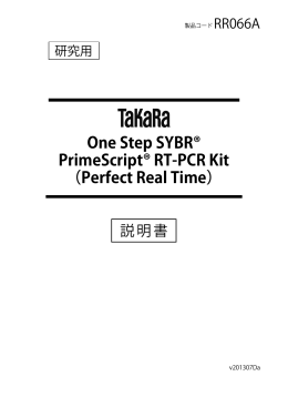 One Step SYBR&reg; PrimeScript&reg; RT