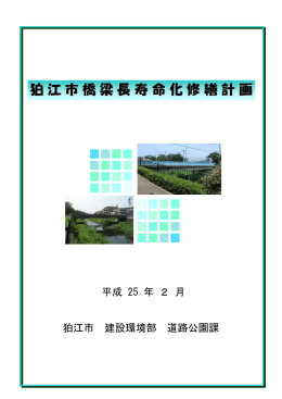 狛江市橋梁長寿命化修繕計画 [192KB pdfファイル]