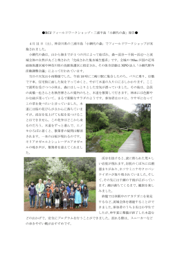RCJ フィールドワークショップ・三浦半島「小網代の森」報告   4月
