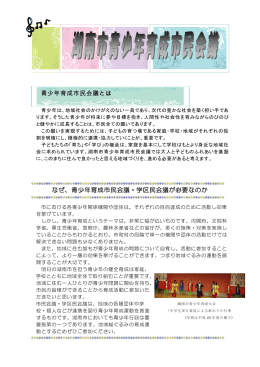 青少年育成市民会議とは なぜ、青少年育成市民会議・学区民会議が