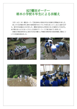 平成27年度棚田オーナー柿木小学校6年生による田植えを開催しました