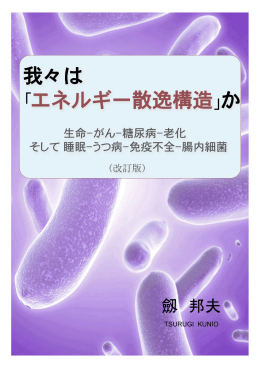 我々は エネルギー散逸構造 か