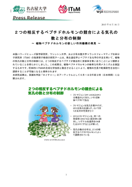 2つの相反するペプチドホルモンの競合による気孔の 数と
