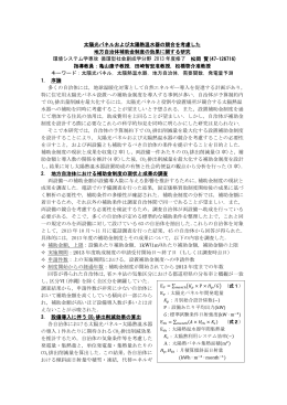 太陽光パネルおよび太陽熱温水器の競合を考慮した 地方自治体補助金