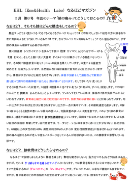 膝の痛みってどうしておこるの？