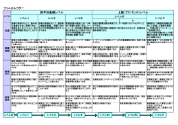 クリニカルラダー 経年別基礎レベル 上級（アドバンス）レベル