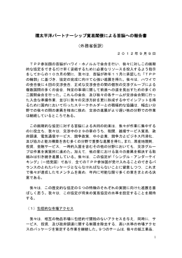 仮訳（PDF）