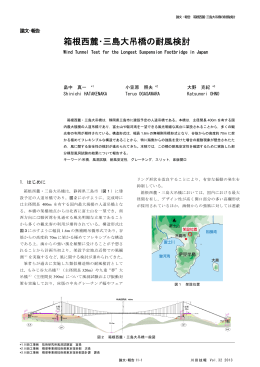 箱根西麓・三島大吊橋の耐風検討 （1.7MB）