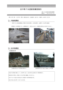 岩手県下水道被害調査報告（2011.03.19～24）
