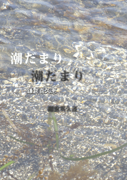 潮だまり