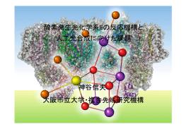 大阪市立大学・複合先端研究機構 酸素発生光化学系IIの反応機構と