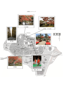 紅葉まつりマップ 日本庭園 西大路 舞楽に親しむ 「千里庵」前広場で野点
