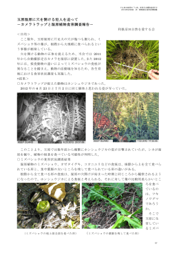 玉原湿原に穴を開ける犯人を追って －カメラトラップと湿原植物食害調査