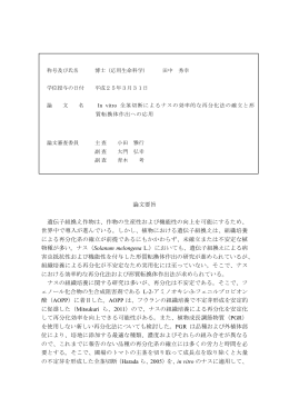 In vitro全茎切断によるナスの効率的な再分化法の確立と形質転換体