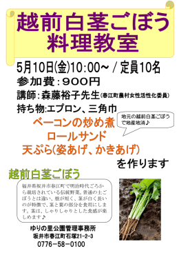福井県坂井市春江町で明治時代ごろか ら栽培されている伝統野菜。普通
