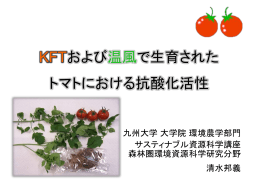 「KFT及び温風で育成されたトマトにおける抗酸化活性」 九州大学 清水先生