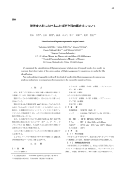 熱帯産木材におけるふたばがき科の鑑定法について