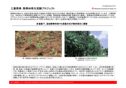 三菱商事：熱帯林再生実験プロジェクト
