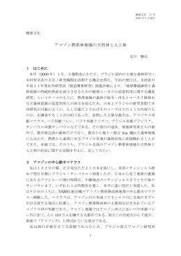 アマゾン熱帯林地域の天然林と人工林 北川勝弘