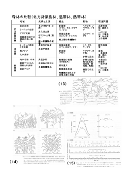 森林の比較（北方針葉樹林、温帯林、熱帯林） （13） （14） （15）