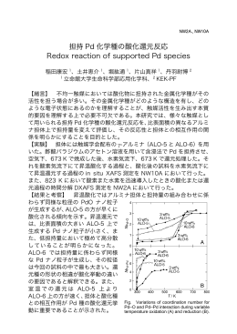 担持 Pd 化学種の酸化還元反応 Redox reaction of supported