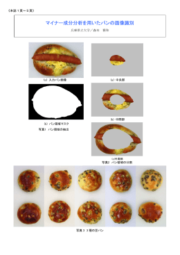 マイナー成分分析を用いたパンの画像識別