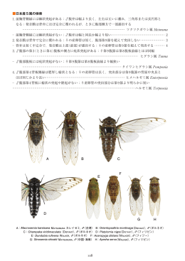 PDFダウンロードはこちら